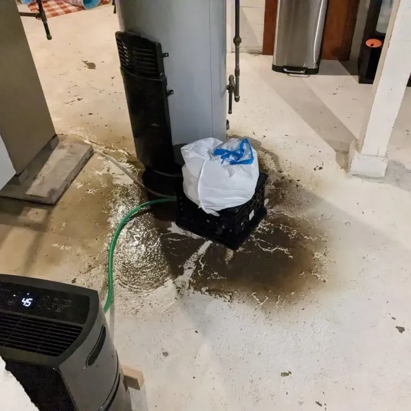 Sewage Backup Cleanup Service in Somers, CT
